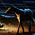 Training a Ghost Dog for Stories for Children magazine.